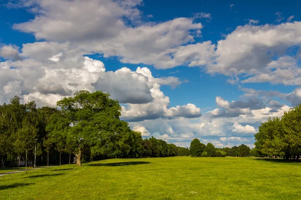 Park med grön äng och skog — Stockfoto