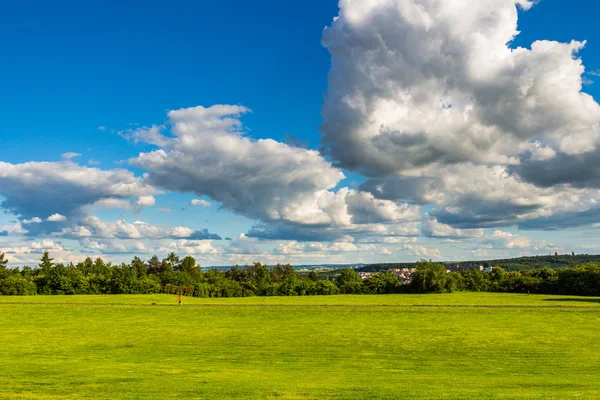 Parque con prado verde y bosque —  Fotos de Stock