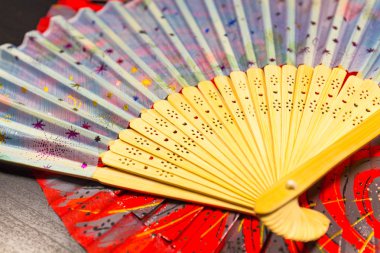 Japon katlama hayranları