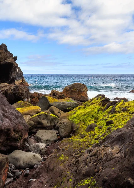 Pedras de musgo e oceano — Fotografia de Stock