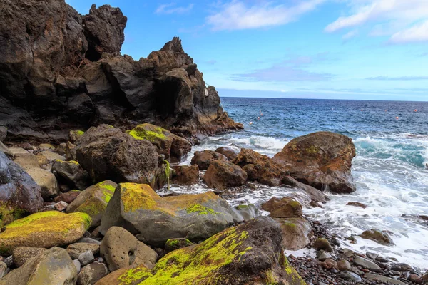 Moss stenar och havet — Stockfoto