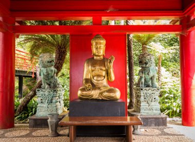 Buda heykele Monte Palace tropikal Bahçe