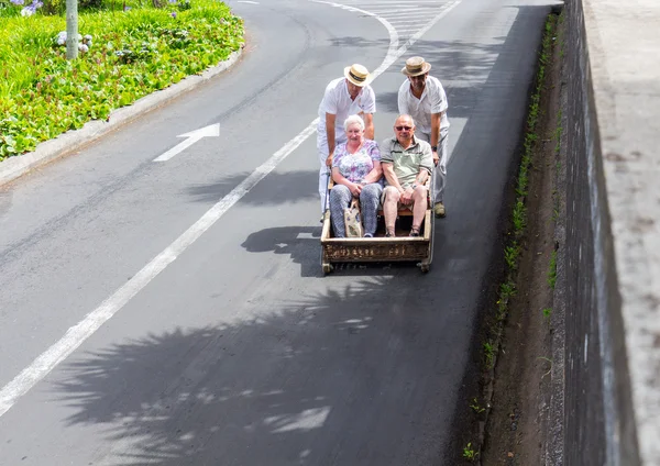 Tradicional downhill sledge trip — Fotografia de Stock