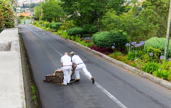 Tradicional downhill sledge trip — Fotografia de Stock