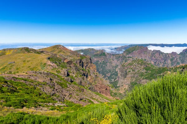 No coração da Madeira, perto da montanha — Fotografia de Stock