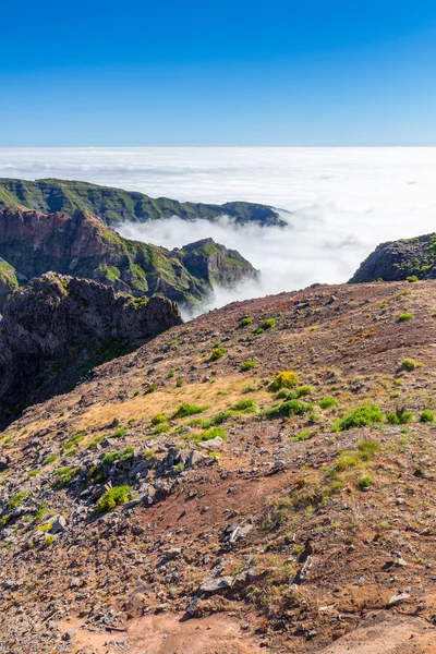 In the heart of Madeira near mountain — Stock Photo, Image