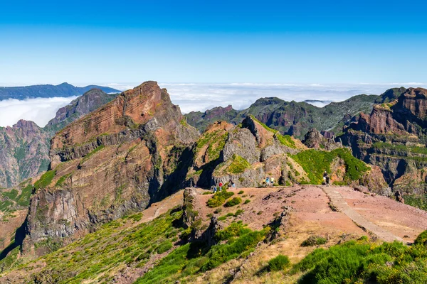 No coração da Madeira, perto das montanhas — Fotografia de Stock