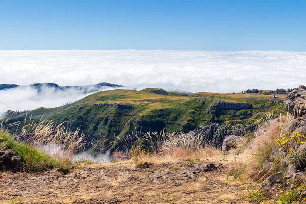 Nel cuore di Madeira vicino alla montagna — Foto Stock