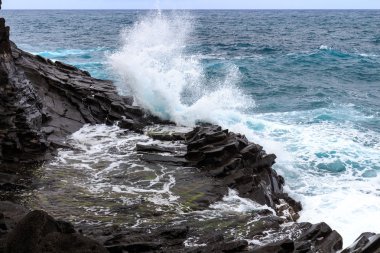 Seixal okyanus doğal havuzlar ve Madeira kuzey kıyı şeridi koyunda. Portekiz.