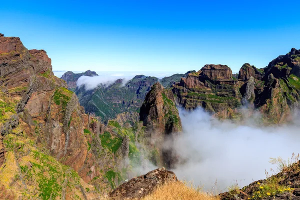 No coração da Madeira, perto da montanha — Fotografia de Stock