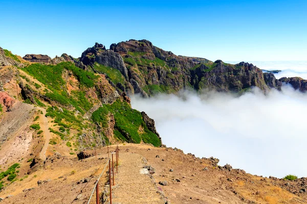 Trilha de montanha na Madeira — Fotografia de Stock