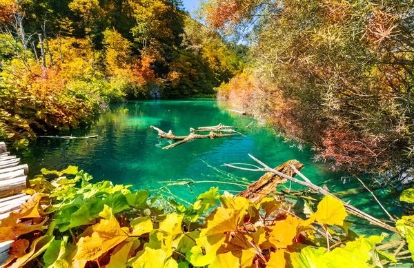 Podzimní pohled na Plitvická jezera — Stock fotografie