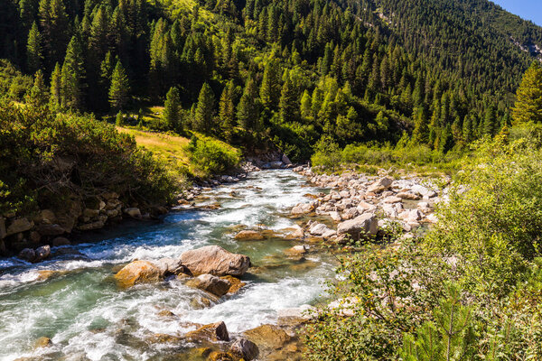  Rapid mountain stream in Alps