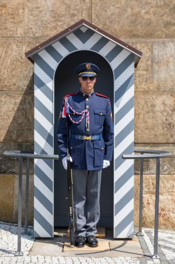 Prag, Çek Cumhuriyeti - 26 Mayıs 2018: Çek Cumhuriyeti 'nin Prag Şatosu' ndaki Başkanlık Sarayı 'nda Onur Muhafızları.