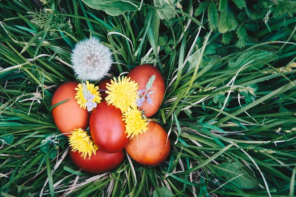 Œufs Pâques Rouges Sur Herbe Avec Des Fleurs Des Billes — Photo