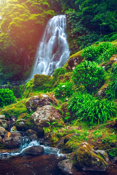 Wodospad Parque Natural Ribeira Dos Caldeiroes Sao Miguel Azory Portugalia — Zdjęcie stockowe