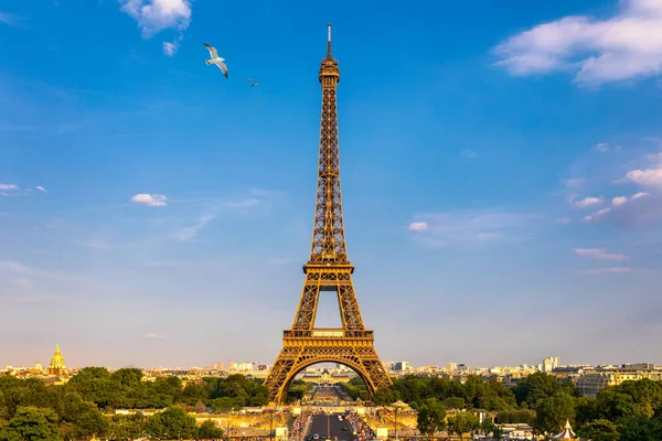 Eiffeltornet Sommaren Med Flygande Fåglar Paris Frankrike Natursköna Panorama Över — Stockfoto