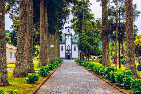 Igreja São Nicolau São Nicolau Com Beco Árvores Altas Flores — Fotografia de Stock