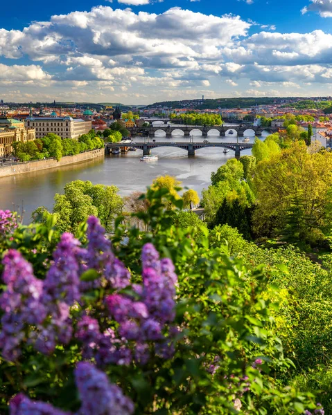 捷克共和国布拉格Vltava河上的旧城码头建筑和查尔斯桥景观 布拉格标志性的查尔斯桥 Karluv Most 和日落时的旧城大桥 — 图库照片