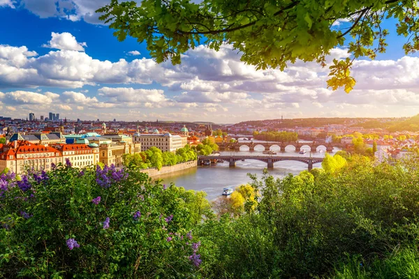 Живописный Вид Старый Город Карлов Мост Через Реку Влтаву Праге — стоковое фото