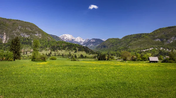 Verão Colorido Aldeia Stara Fuzina Parque Nacional Triglav Eslovénia Julian — Fotografia de Stock