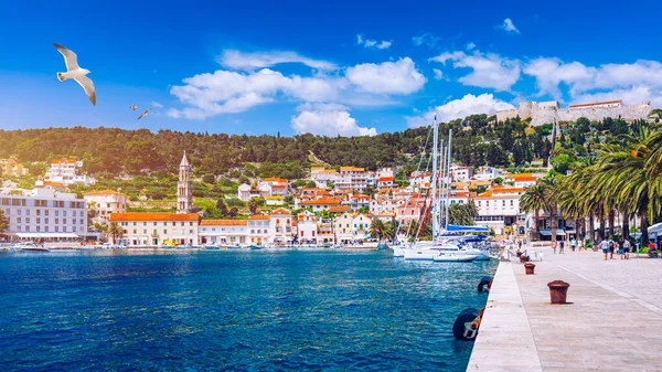 Hvar Town Seagull Flying City Famous Luxury Travel Destination Croatia — Stock Photo, Image