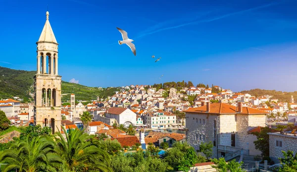 在克罗地亚的Hvar镇前面的令人惊奇的群岛上 海鸥在城市上空飞翔 亚得里亚海古城的港口克罗地亚Hvar岛上令人惊叹的Hvar市 — 图库照片