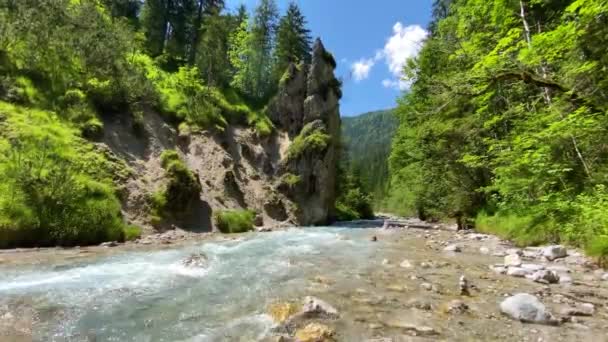 Valley Wimbachtal Med Wimbach Floden Berchtesgaden Alperna Tyskland — Stockvideo