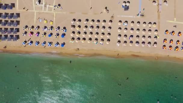 Pláž Tsampika Zlatým Pískem Shora Rhodos Řecko Letecký Pohled Ptačí — Stock video