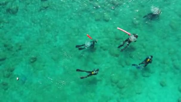 Group Scuba Diving Students Have Lesson Shallow Crystal Clear Water — Stock Video