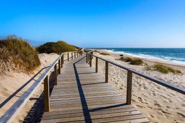 Portekiz, Costa Nova d 'Aveiro' daki tahta patika. Okyanus manzaralı kum tepeleri üzerinde, yaz akşamında. Güneşli bir günde Costa Nova sahilinin tahta köprüsü. Aveiro, Portekiz. 