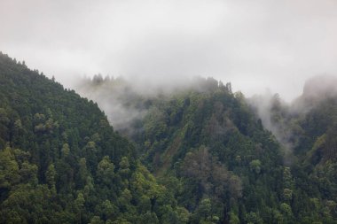 Azores panoramik doğal manzara manzarası, muhteşem manzaralı Portekiz adası. Volkanik kraterlerde ve yeşil alanlarda güzel göller. Turistik eğlence ve seyahat yeri. Azores, Portekiz.