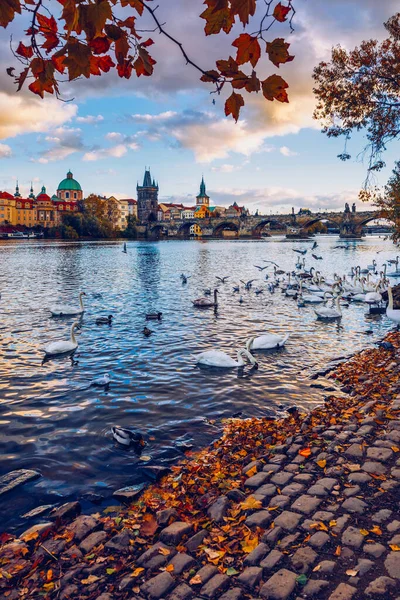 Vista Otoño Puente Carlos Sobre Río Moldava Praga República Checa — Foto de Stock