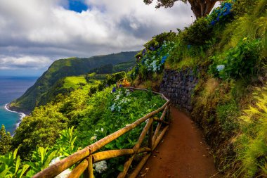 Bakış açısı Ponta do Sossego, Sao Miguel Adası, Azores, Portekiz. Miradouro da Ponta do Sossego Nordeste, Sao Miguel, Azores, Portekiz. 