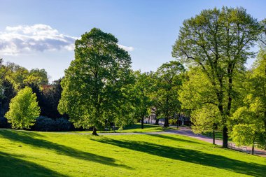 Letna Park 'ta bahar manzarası, Prag, Çek Cumhuriyeti. Prag 'da bahar, güzel Letna Parkı (Letenske sady) güneş ışığı, güneşli manzara, popüler turizm beldesi, Prag, Çek Cumhuriyeti