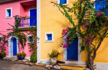 Assos, Kefalonia adasında çiçekli Yunan evleri olan geleneksel cadde. Assos köyündeki geleneksel renkli Yunan evleri. Çiçek açan fuşya çiçekleri. Kefalonia Adası, Yunanistan
