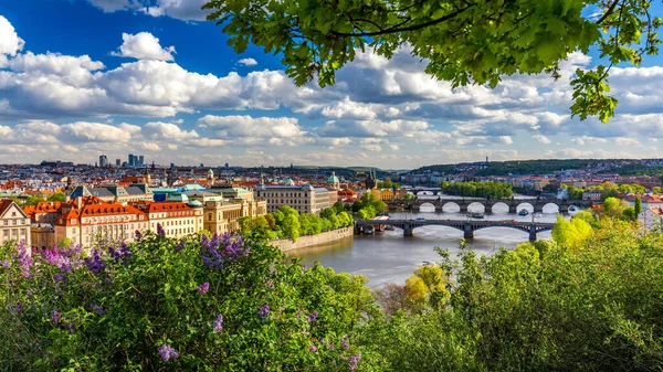 Живописный Вид Старый Город Карлов Мост Через Реку Влтаву Праге — стоковое фото