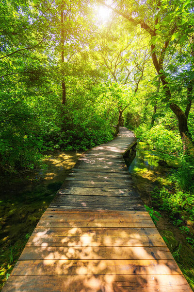 Krka national park wooden pathway in the deep green forest. Colorful summer scene of Krka National Park, Croatia, Europe. Wooden pathway trough the dense forest near Krka national park waterfalls.