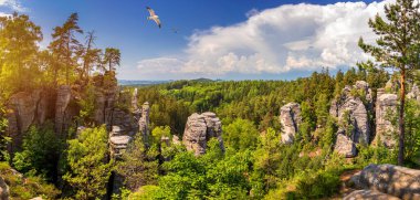 Çek Cumhuriyeti 'nin Cesky Raj bölgesinde Prachov rock (Prachovske skaly). Canlı ormanda kum taşı oluşumu. Prahov Kayaları, Çek: Çek Cumhuriyeti 'nin Bohemya Cenneti' nde Prahovske skaly.