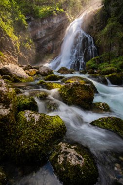 Gollinger Şelalesi, Salzburg yakınlarındaki Golling an der Salzach, Avusturya. Gollinger Wasserfall yosunlu kayalar ve yeşil ağaçlarla, Golling, Salzburger Land, Avusturya.