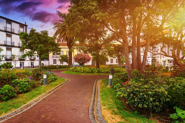 Bellissimo Jardim Sena Freita Situato Nel Centro Storico Della Città — Foto Stock