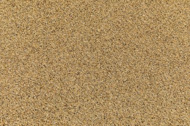 Kum yüzeyi ve arka plan. Kum Dokusu. Kahverengi kum. İnce kumdan arka plan. Kum arka plan. Yaz aylarında bir plaj kum desen Closeup.