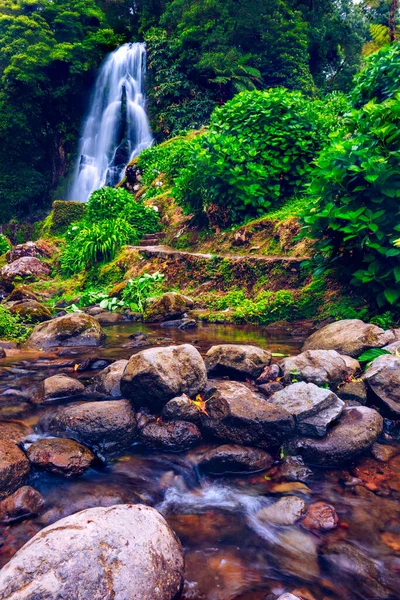 Wodospad Parque Natural Ribeira Dos Caldeiroes Sao Miguel Azory Portugalia — Zdjęcie stockowe