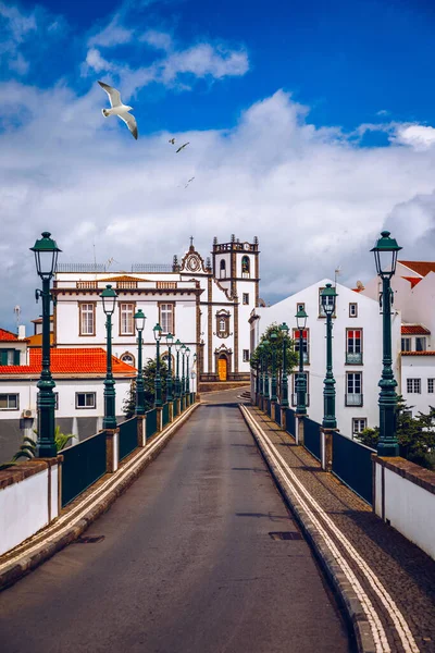 Sao Miguel Adası, Azores 'teki Nordeste manzarası. Nordeste Köyü 'ndeki eski taş kemer köprüsü, Sao Miguel, Azores. Sao Miguel, Azores, Portekiz 'de beyaz kasaba binaları olan Nordeste köyü..