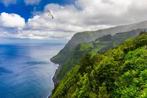 Azores panoramik doğal manzara manzarası, muhteşem manzaralı Portekiz adası. Volkanik kraterlerde ve yeşil alanlarda güzel göller. Turistik eğlence ve seyahat yeri. Azores, Portekiz.