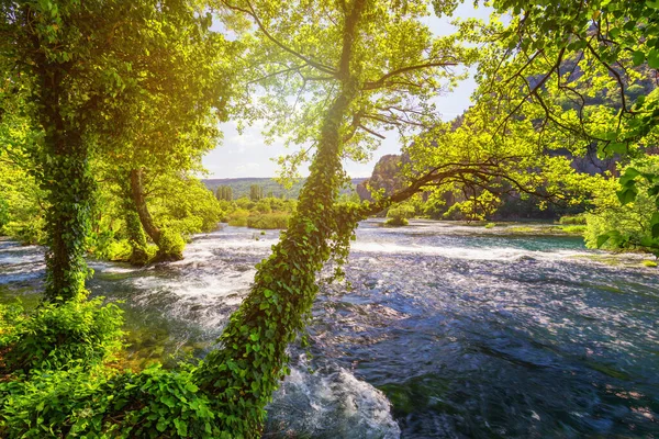 View Krka National Park Croatia Europe Splendid Summer View Krka — Stock Photo, Image