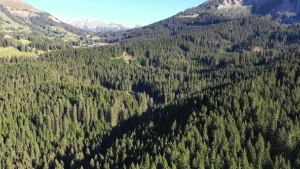 Λάγκο Ντι Καρέτσα Άποψη Του Lago Carezza Dolomites Ιταλία Αεροφωτογραφία — Αρχείο Βίντεο