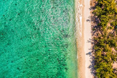 Flic en flac plajlı güzel Mauritius adası. Tropikal palmiye plajı çevresindeki mercan kayalıkları, Flic en Flac, Mauritius. Mauritius, Flic en Flac sahilinde güzel bir sahilin havadan görüntüsü..