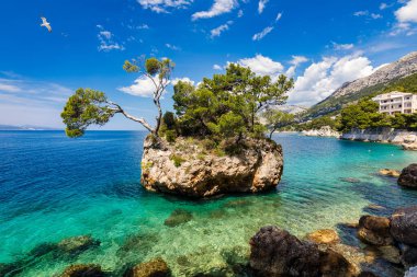 Hırvatistan 'ın Dalmaçya kıyısındaki Brela kentinin Kamen Brela sembolü. Kamen Brela, Makarska Riviera, Dalmaçya, Hırvatistan 'daki küçük ünlü ada.