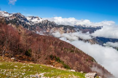 Triglav Ulusal Parkı, Bohinj, Slovenya